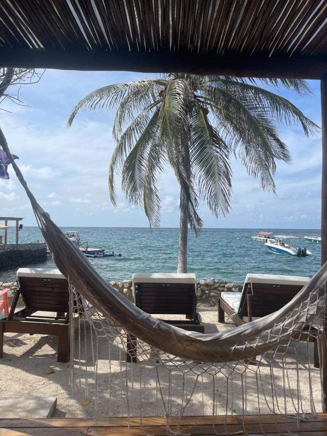 Hotel Sunsets Del Rosario Isla Grande  Exterior photo